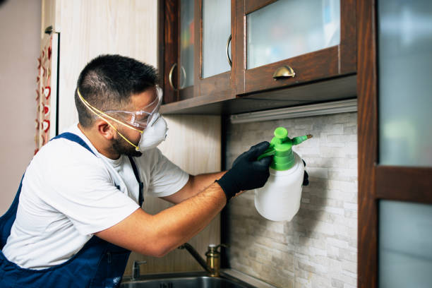 Best Mosquito Control Services  in Sac City, IA