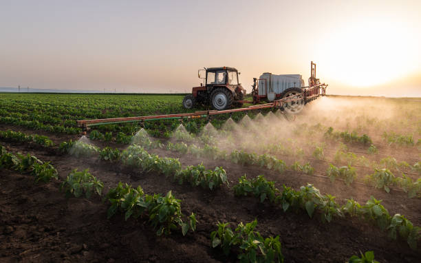 Pest Control Cost in Sac City, IA