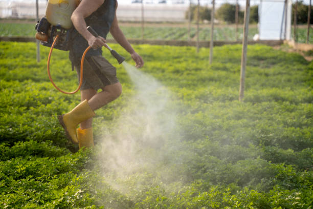 Best Pest Control Near Me in Sac City, IA