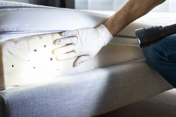Best Pest Prevention Services  in Sac City, IA